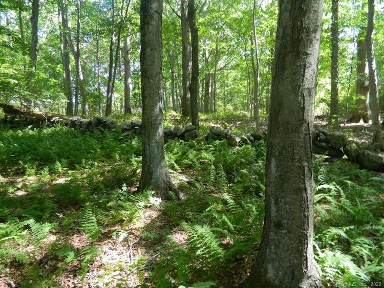 Discover an exceptional opportunity to own 26 pristine acres of land perfectly situated next to a scenic golf course and just minutes from beautiful sandy beaches.
