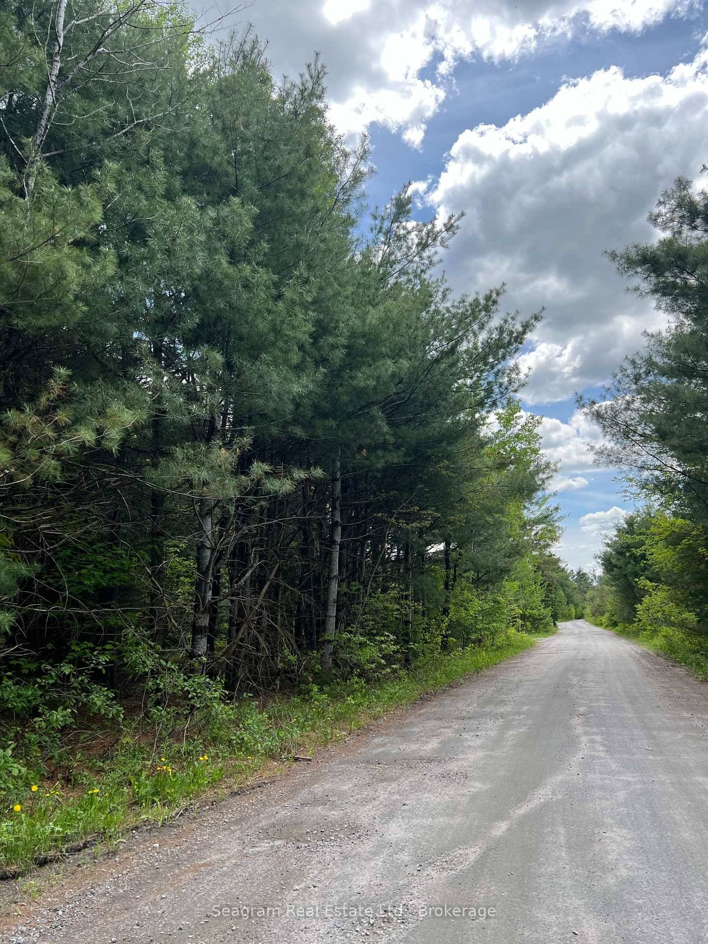 Very unique offering just north of Bracebridge on highway 11 with mixed zoning residential on the Muskoka River and the back acreage has approximately 35 acres of flat level land ...