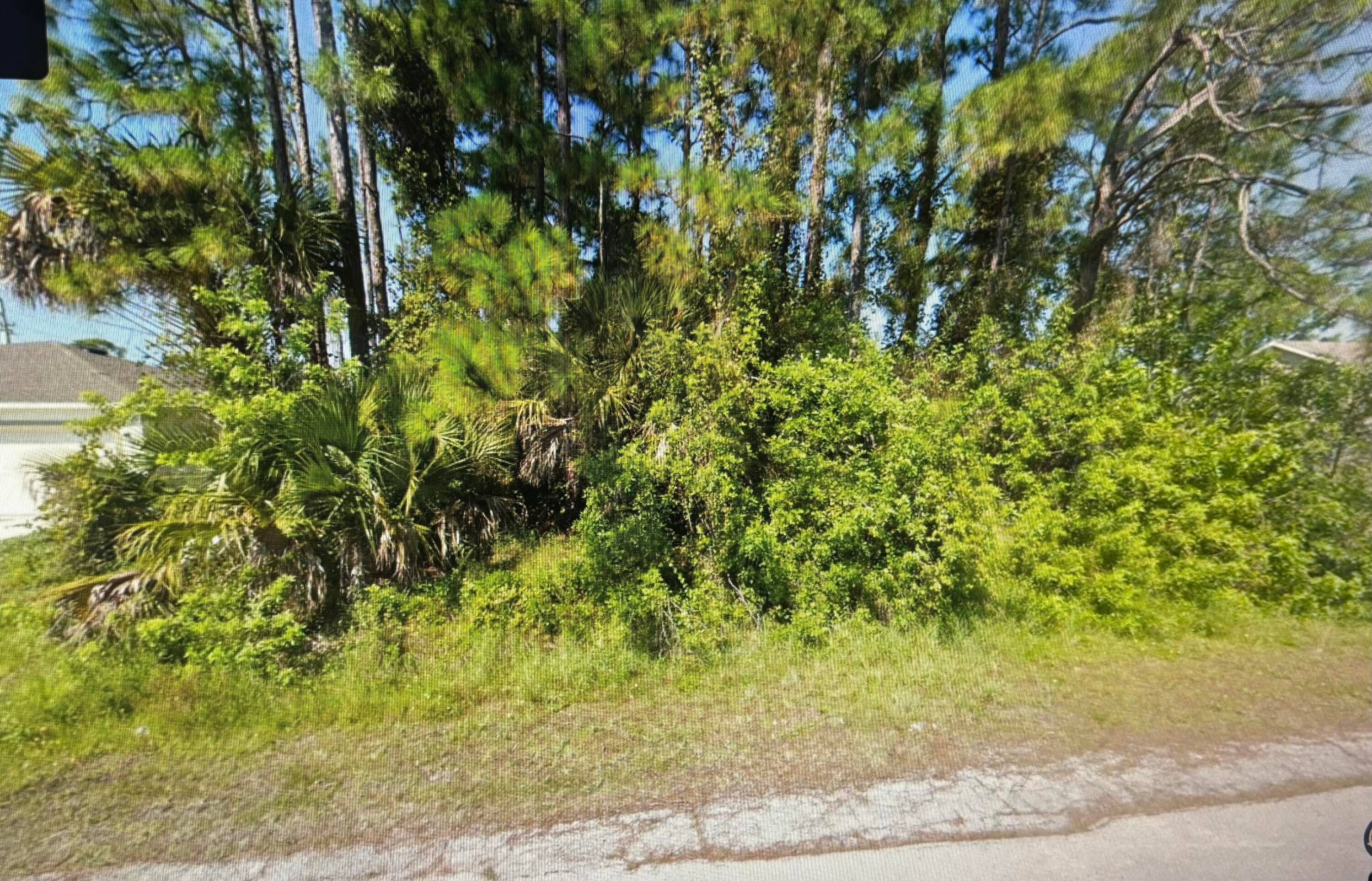 QUARTER ACRE LOT in Florida's fastest growing city !