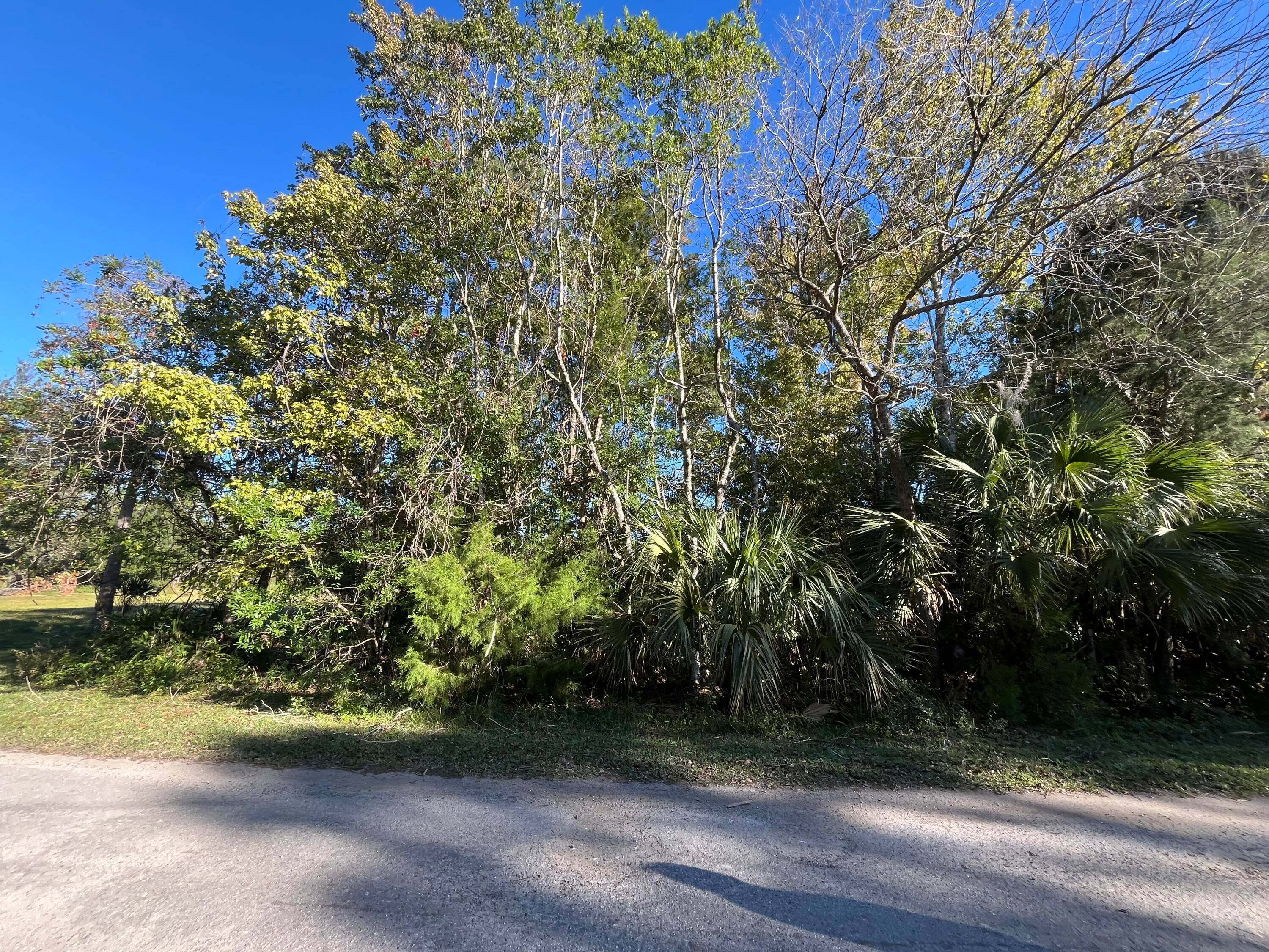 OWNER FINANCING CONSIDERED !