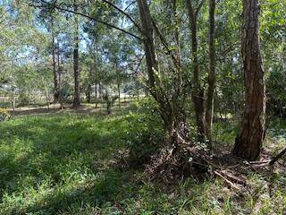 THIS VACANT LAND WILL BE SUBDIVIDED FROM ADJACENT PARCEL AT CLOSING.