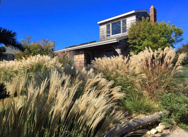 Newly Renovated Modern in Montauk Available August
