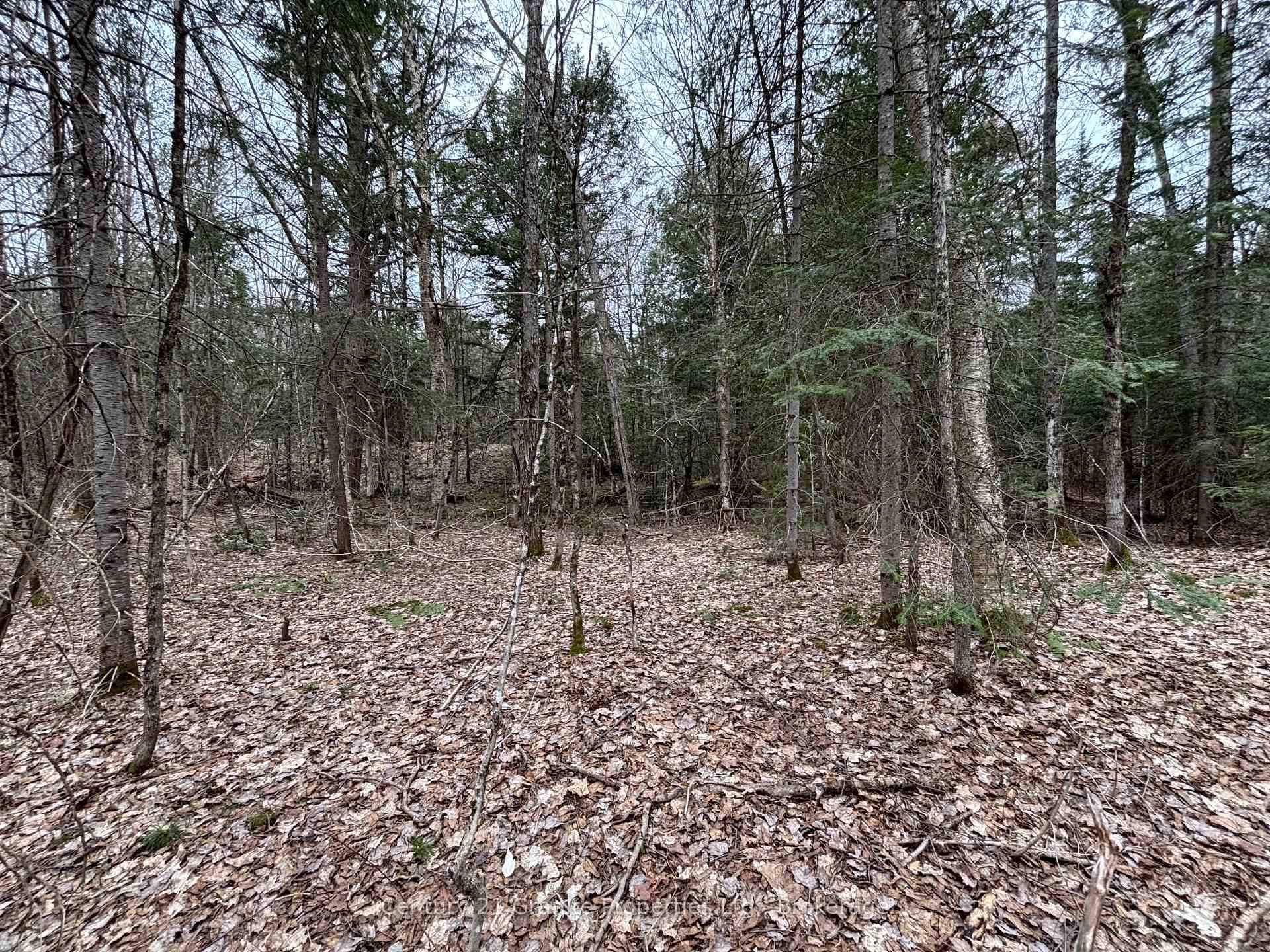Private 8. 93 acre treed rural lot on Loch Erne Road in the Township of McDougall.