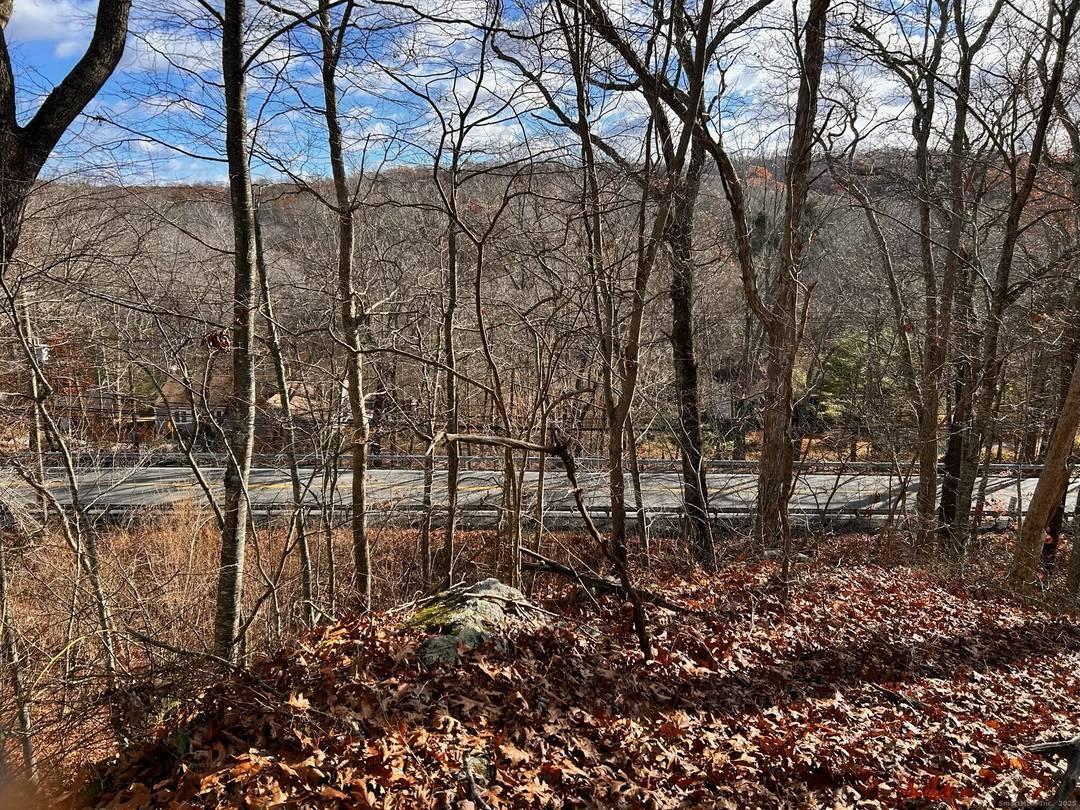 61. 64 Acres of beautiful raw land located on Rt 161 and nestled between Walnut Hill and Cardinal Drive is offered for the first time.