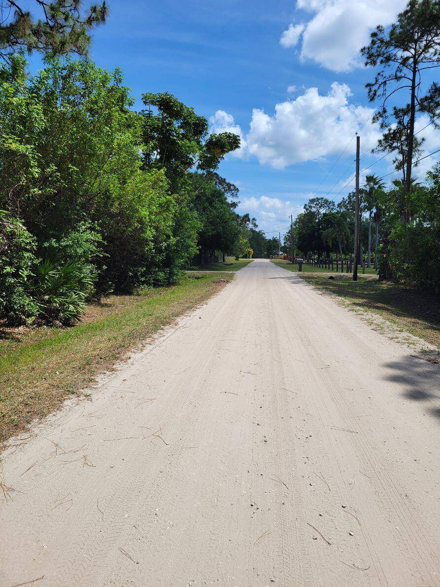 VACANT LAND NEEDS CLEARINGUnbranded Virtual Tour https www.