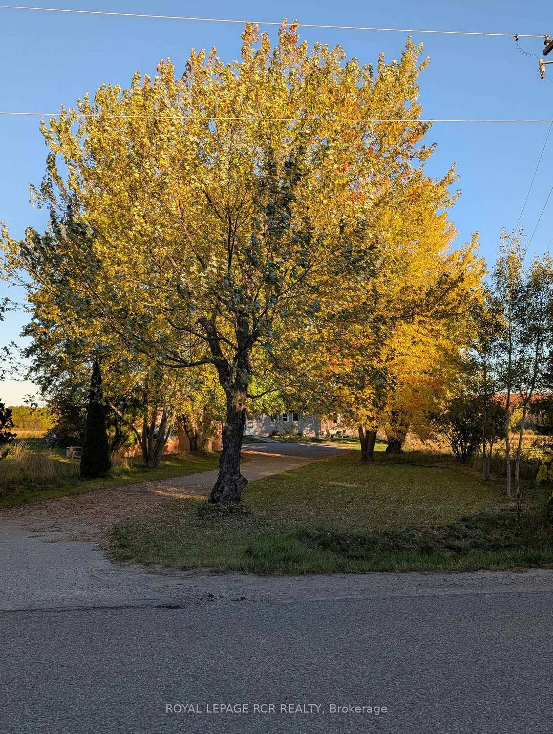 If your priority is peace, property, and proximity to town, this semi detached rental is for you !