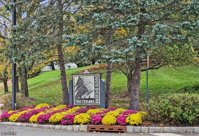 Stylish, sunny, and move in ready !