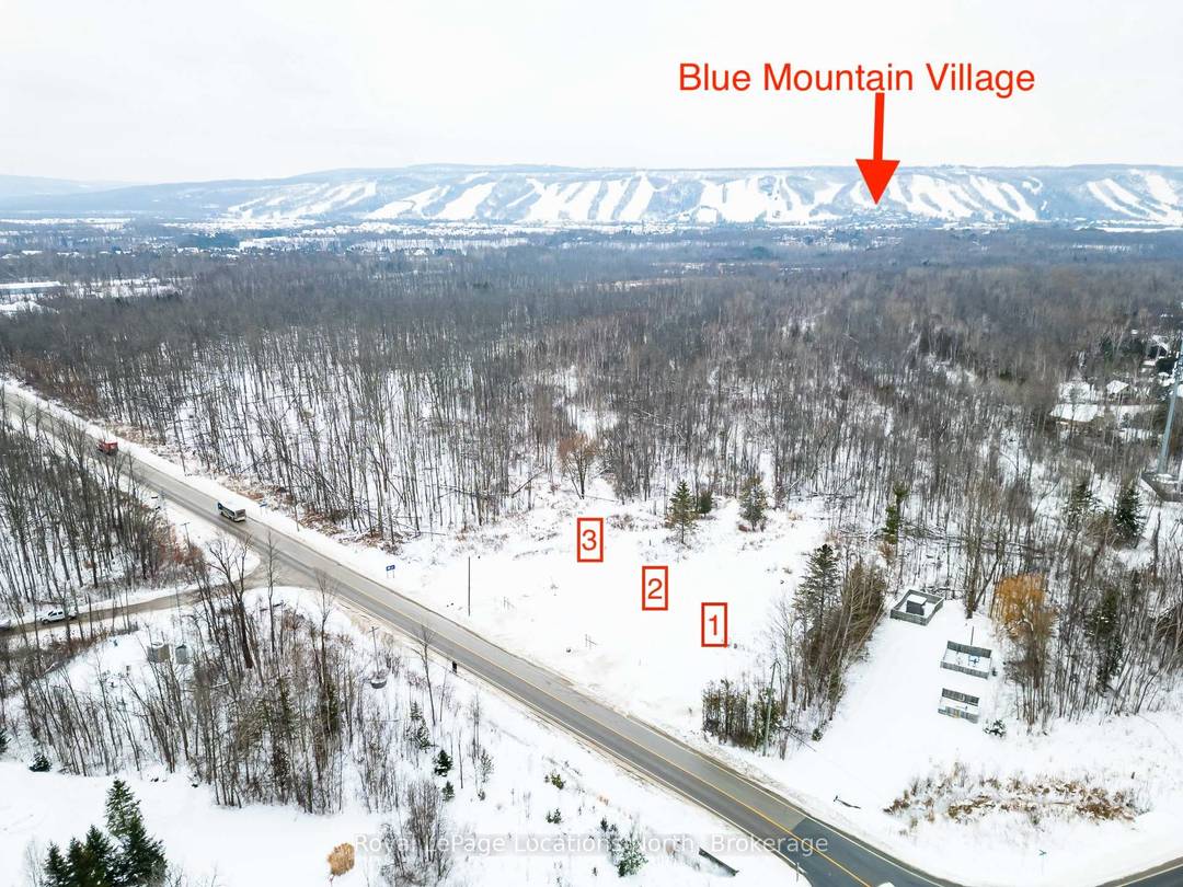 Build your dream home in the heart of Blue Mountain.