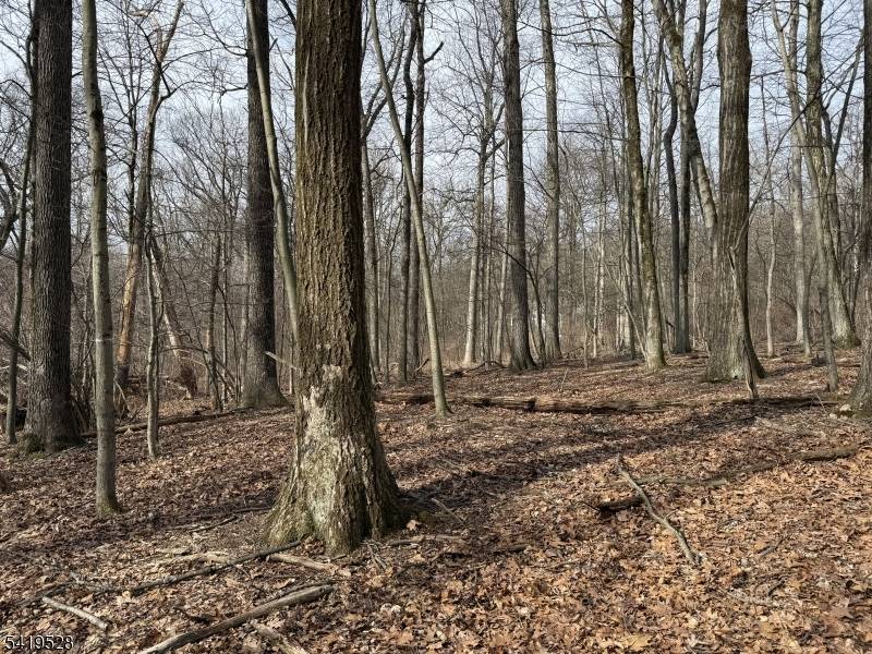 Prime 4 acre homesite in desirable Chester Township offering a wonderful opportunity for builders and end users alike.