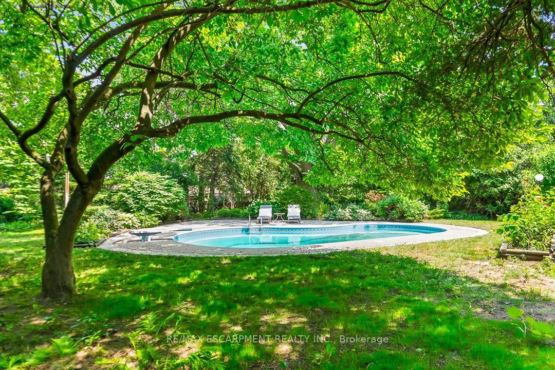 Welcome to 237 Albion Ave.