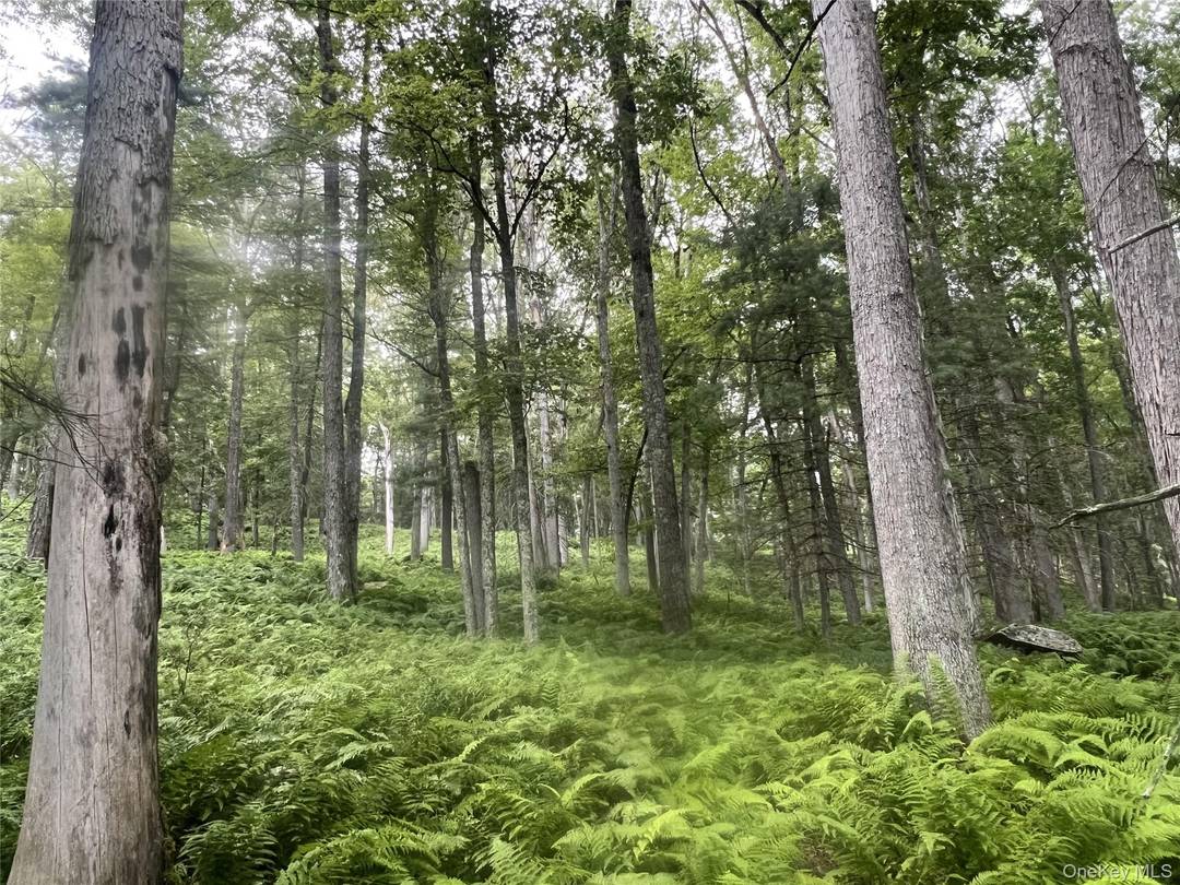 Opportunities like this don t come around often.