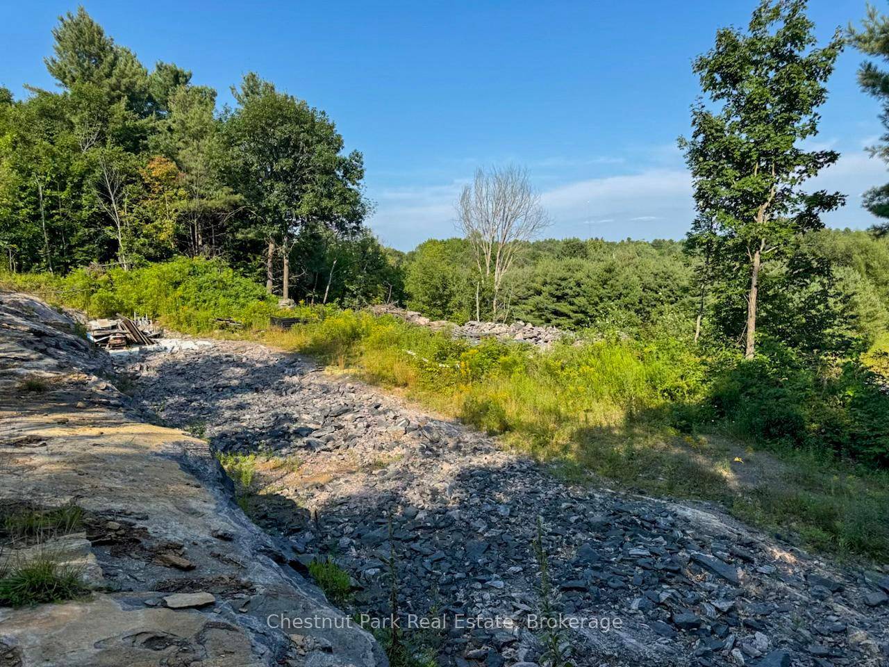 Build your dream Muskoka retreat on this picturesque 0.