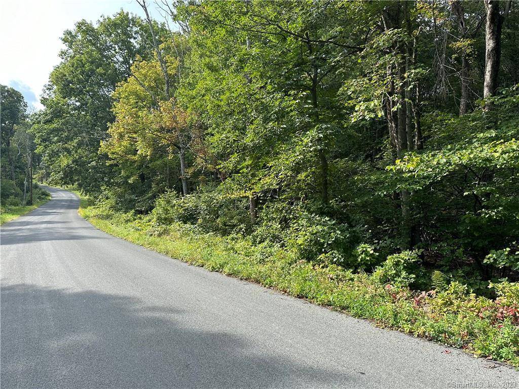 Approximately 29. 20 acres of Raw land located in Warren CT.