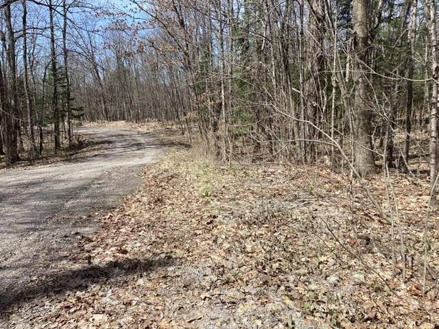 1. 37 acre mixed bush on level lot.