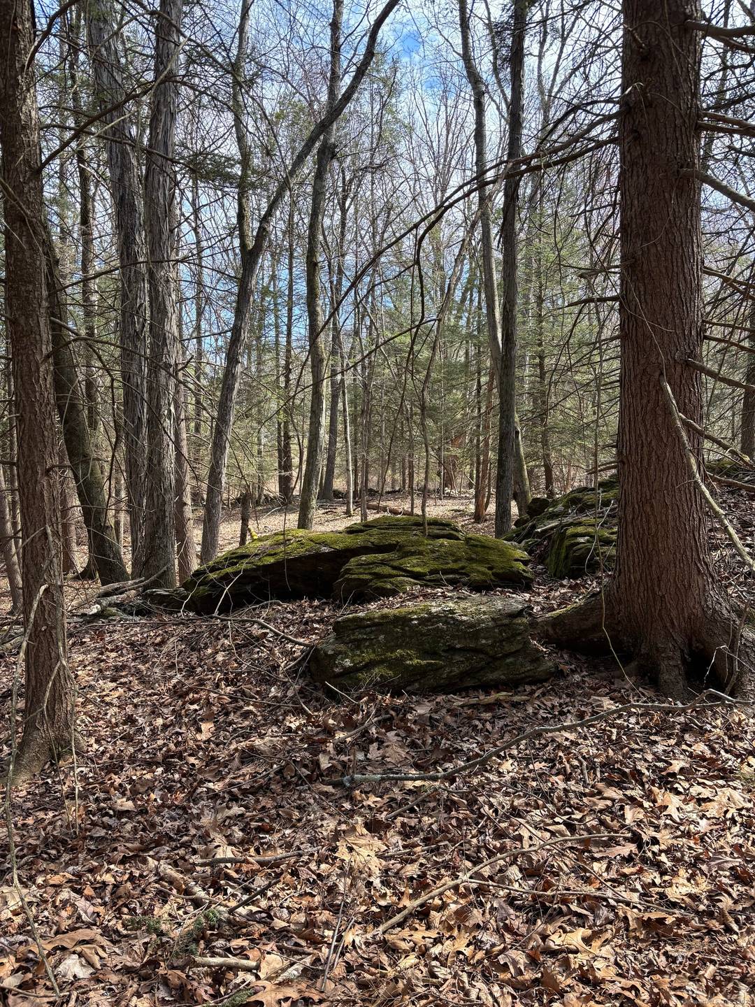 Prime Roxbury Location. Nestled off a picturesque classic country lane, flanked by distinguished residences and just minutes from the vibrant heart of Roxbury Center, awaits an exceptional opportunity.