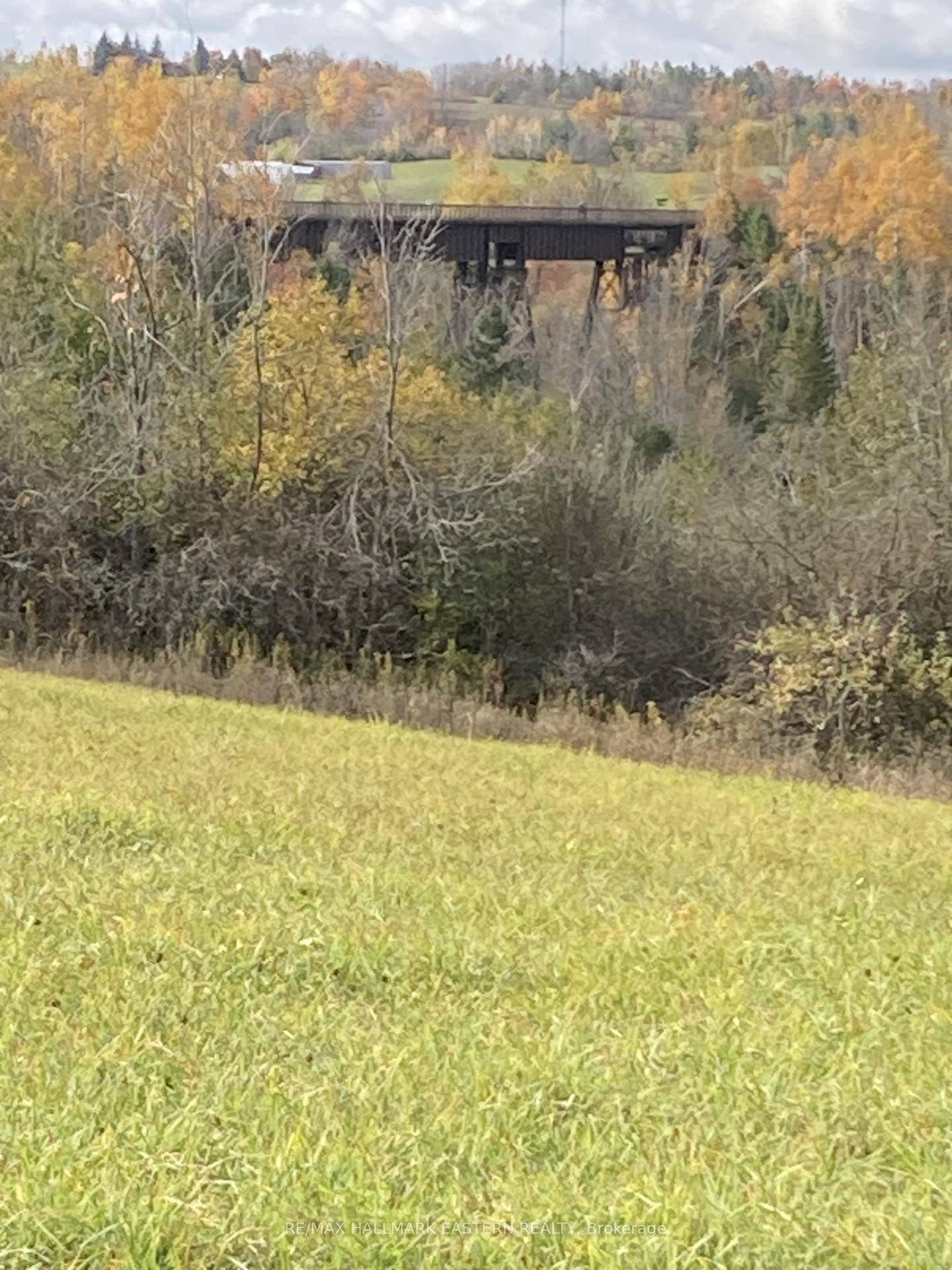 Build your dream home on this Incredible 110 acre farm.