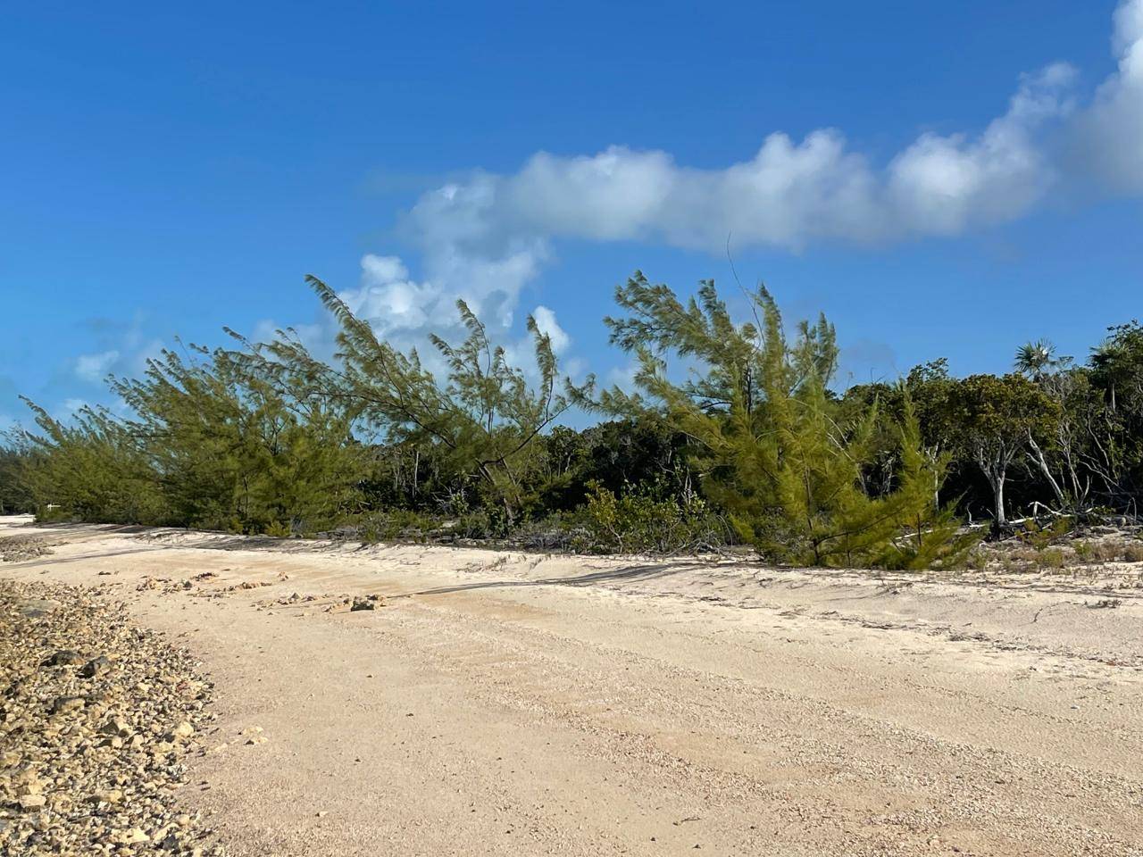 BEACHFRONT WEMYSS LI Land Long-Island-Bahamas