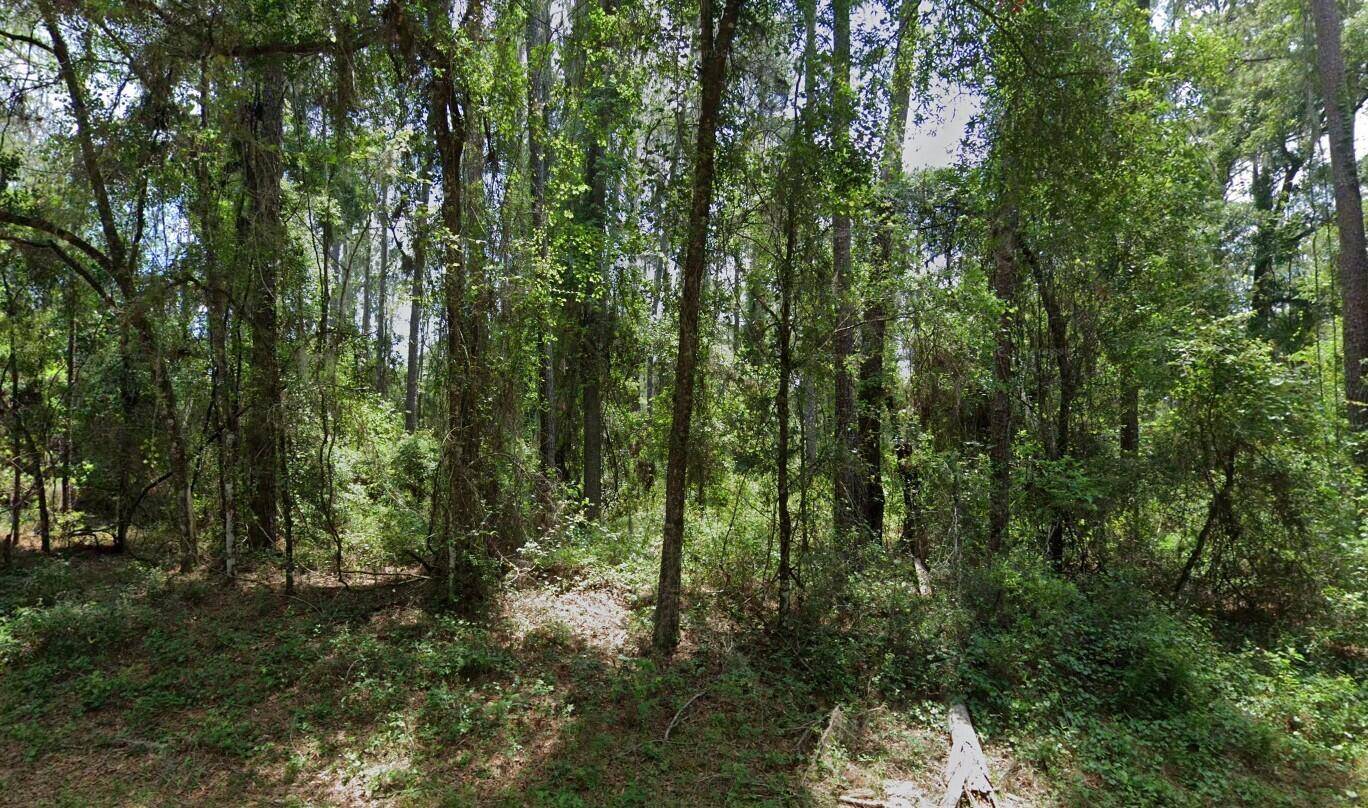 Discover the perfect opportunity to build your dream home on this beautiful 0.