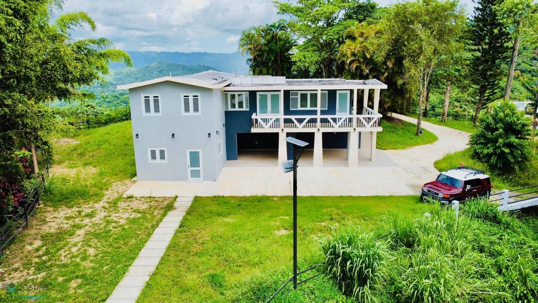 LAS PALMAS House Utuado