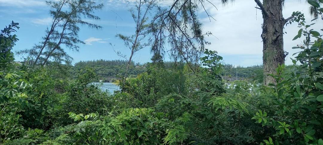 LAKE CUNNINGHAM ESTATES L Land New-Providence