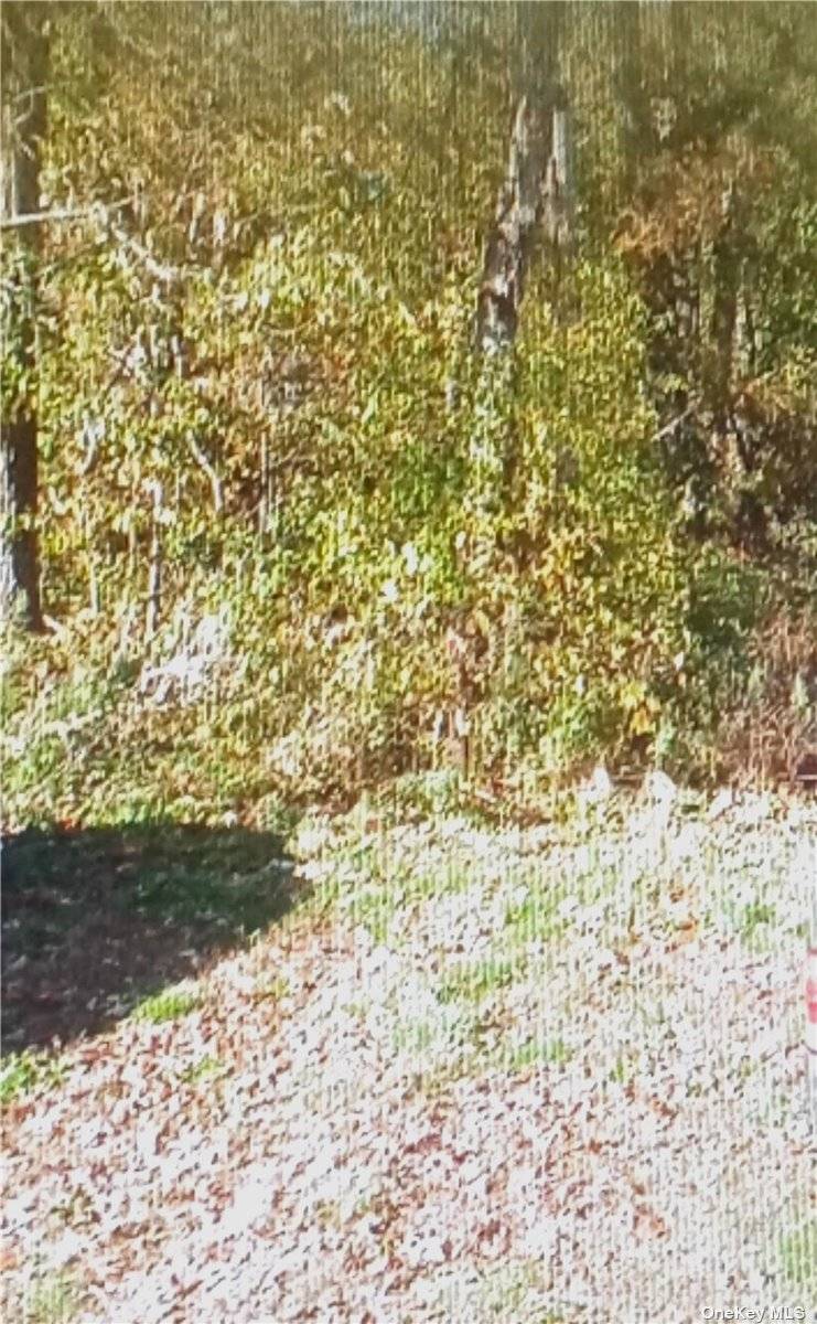 Vacant land close to shops and close to Montauk Highway.
