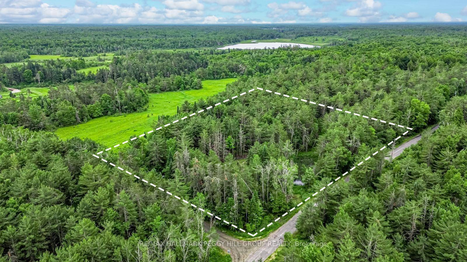 3. 77 ACRES OF POSSIBILITY IN MUSKOKAS NATURAL PLAYGROUND !