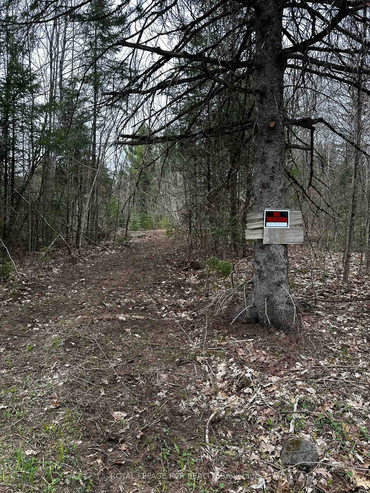 Beautiful 96 Acre Property With Rolling Topography With A Mix Of Mature Hardwood And Coniferous Trees And Some Wetlands.