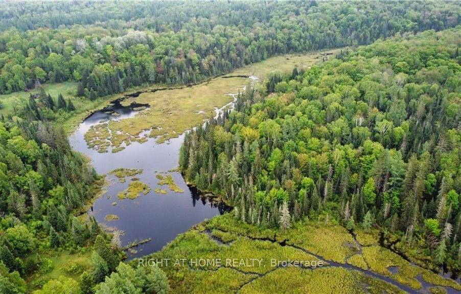This is your chance to own a remarkable 99 acre property that embodies the ideal blend of comfort and outdoor adventure.