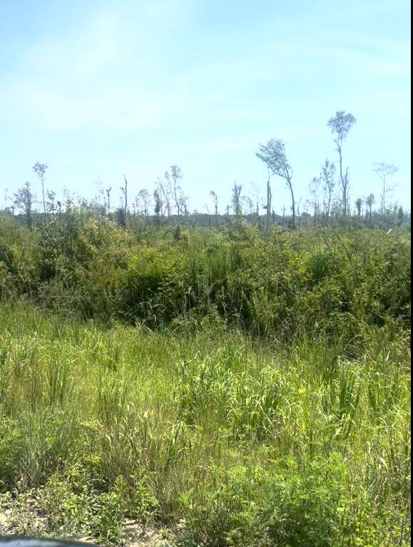Rare 40. 55 acre tract in Jennings, Hamilton County, FL just off Exit 467 SR 143, the first Florida exit southbound on I 75 from Georgia.