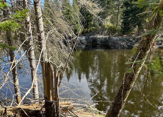 Level vacant land with over 600 feet of frontage on the Irondale River.