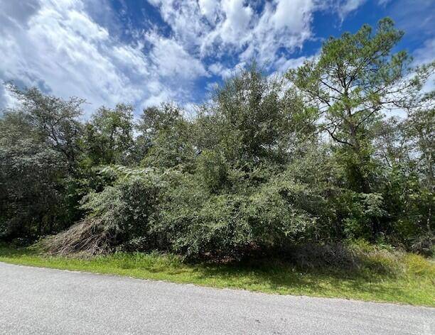 Nice Citrus Springs lot ready for your new Florida home, located in Citrus County of Florida's Nature Coast.