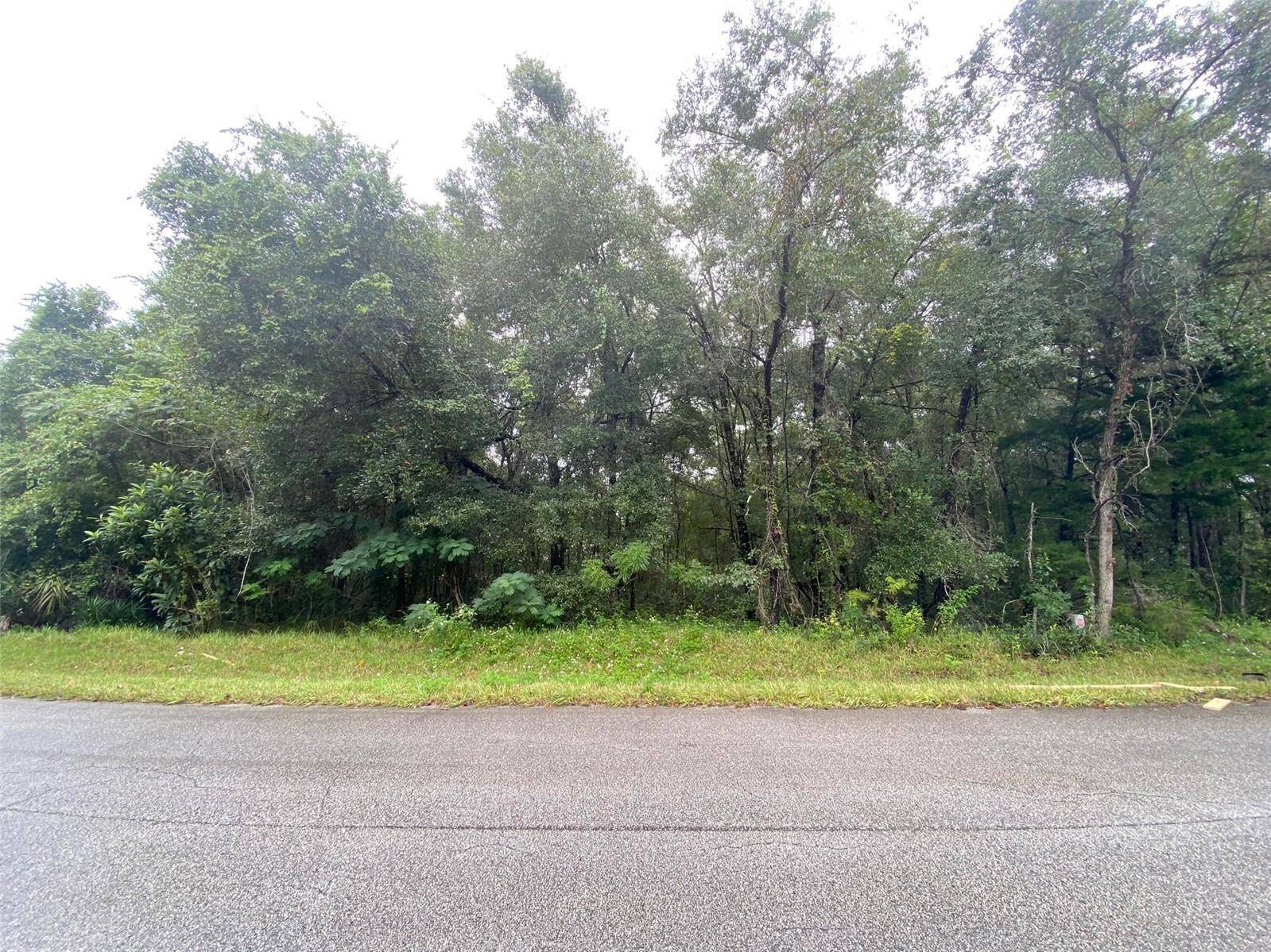Fantastic lot in the thriving community of Citrus Springs !