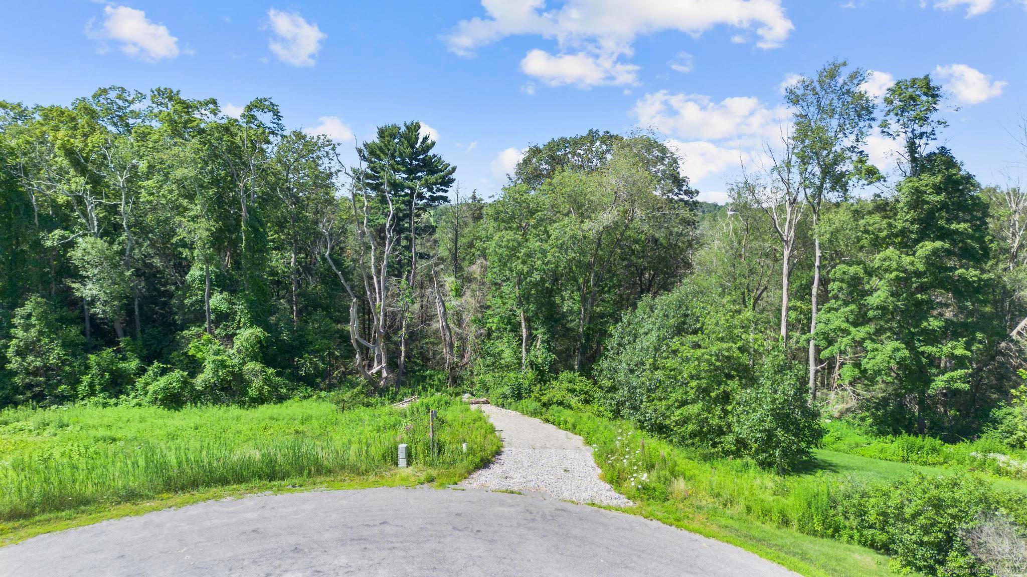 Set on a serene, wooded lot in the Meadowcrest community, this elegant modern farmhouse will be expertly crafted with both style and functionality in mind.