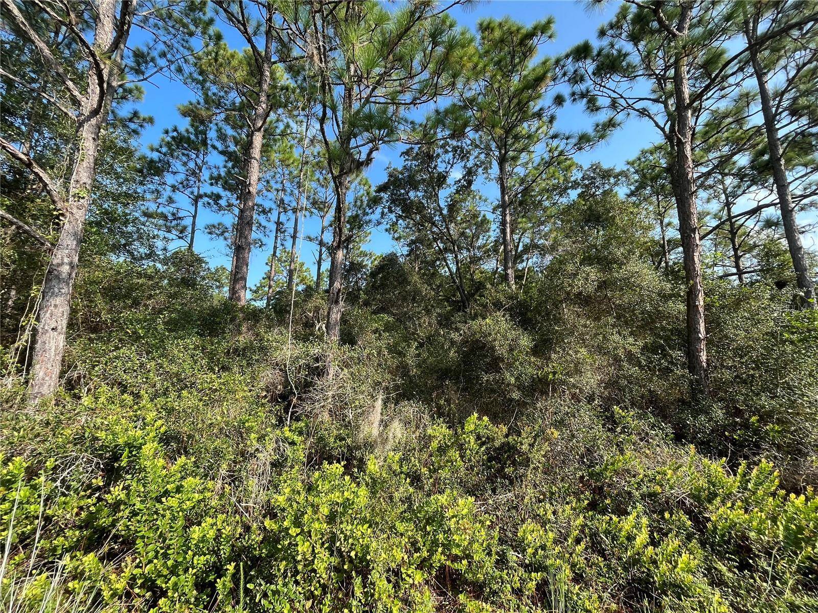 Don't Miss out on this vacant lot in growing Putnam County.
