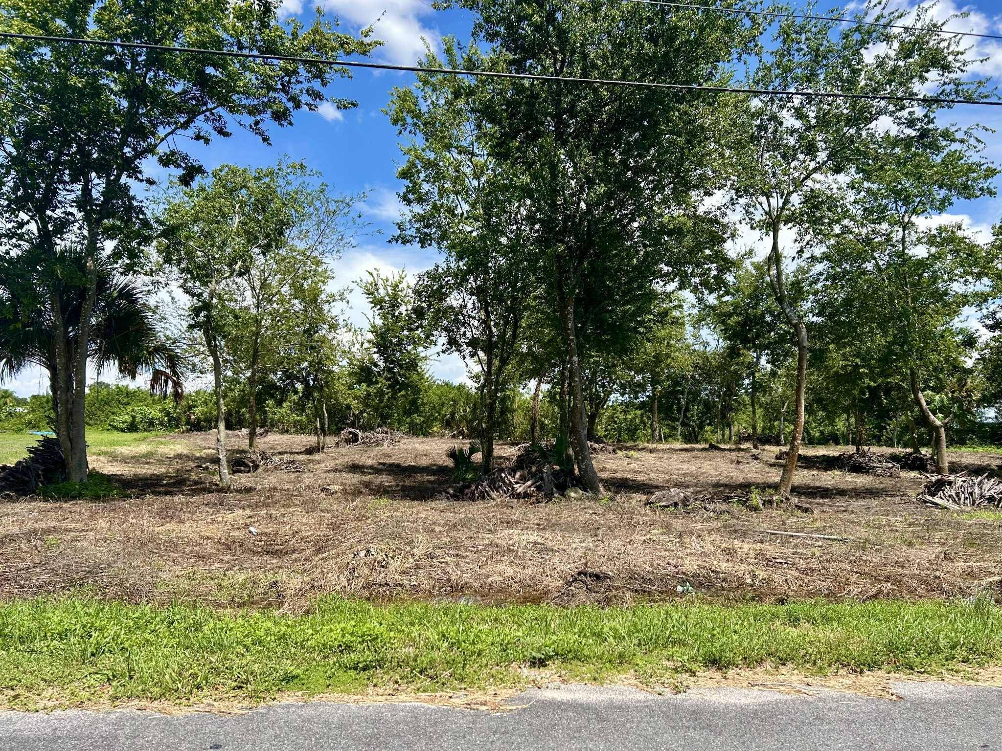 Lot 16 Foxmoor Street Land Palm Beach