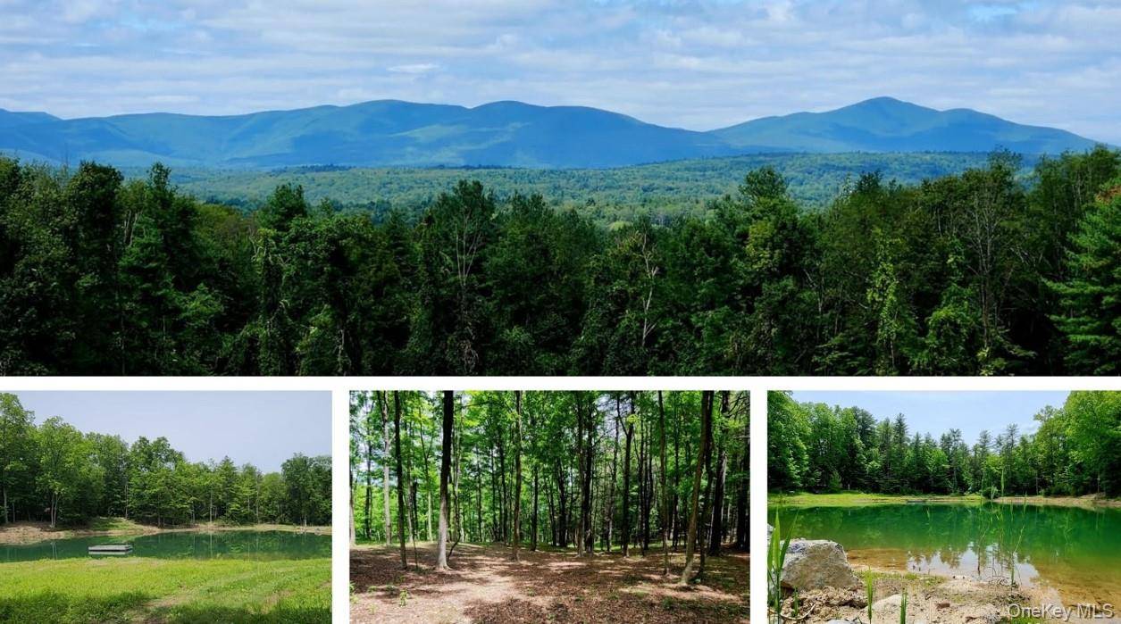 These 80 acres of prime mountain view property are located in one of the most desirable areas in the Hudson Valley, Accord, N.