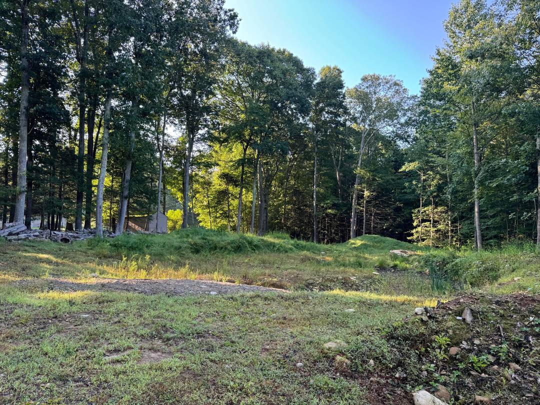 Welcome to The River Wood a 3 bedroom custom home, nestled on a sprawling 4.