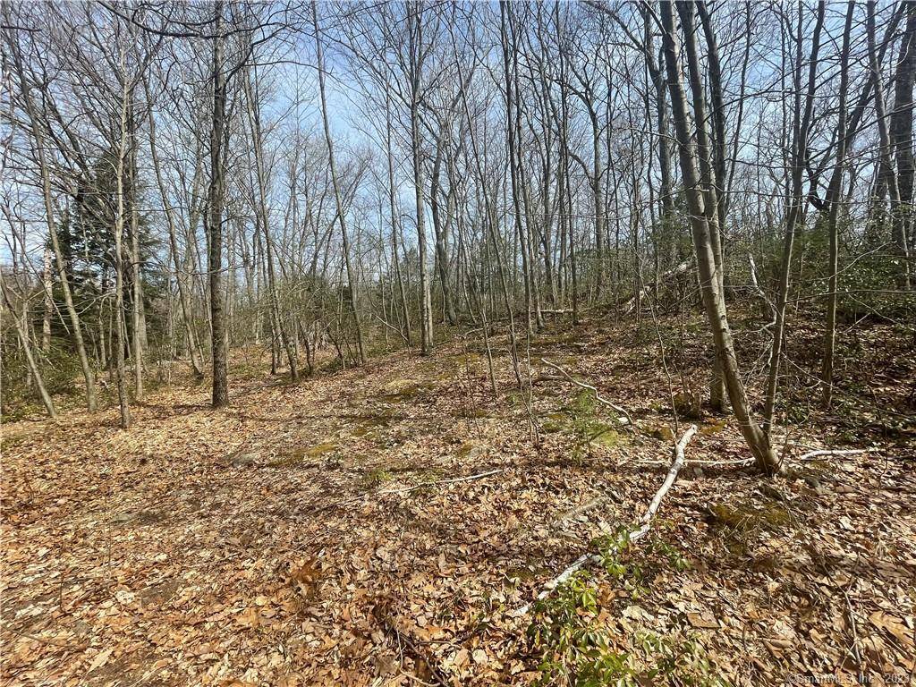 Incredible Opportunity in Wilton 41 Acres.