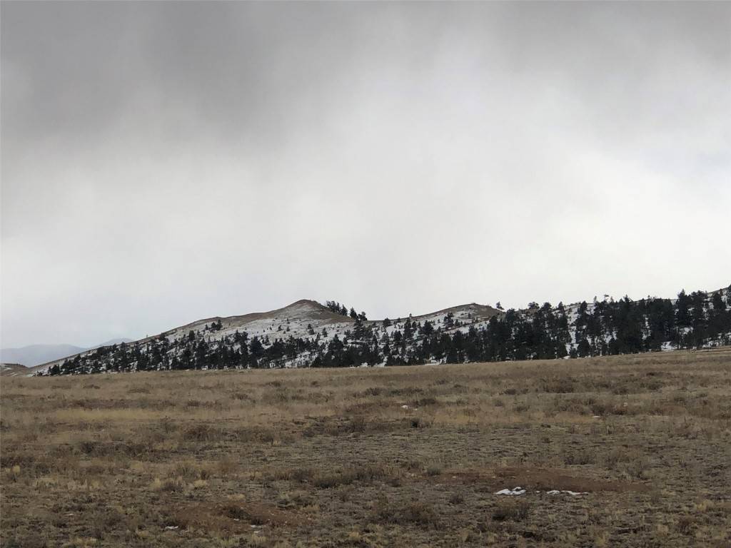 Five acres close to Eleven Mile, Spinney, Antero Reservoirs and the world class Dream Stream.