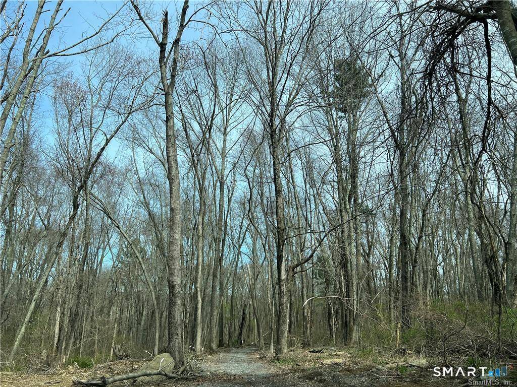 Approved building lot on desirable street, property is on a shared driveway.