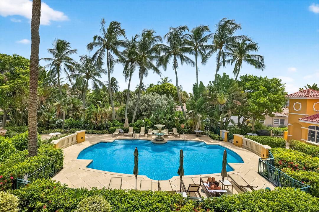 Welcome to The Mediterranea !