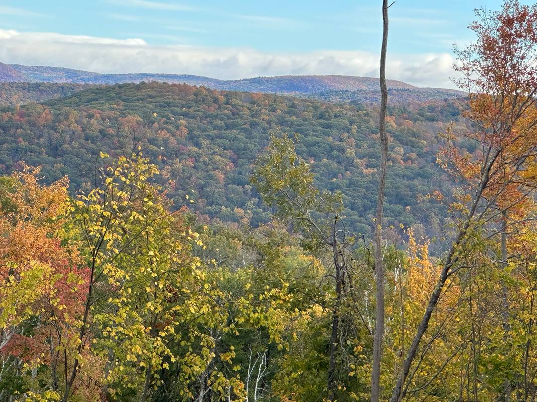 This listing is a combination of two lots Lots 3 and 4.