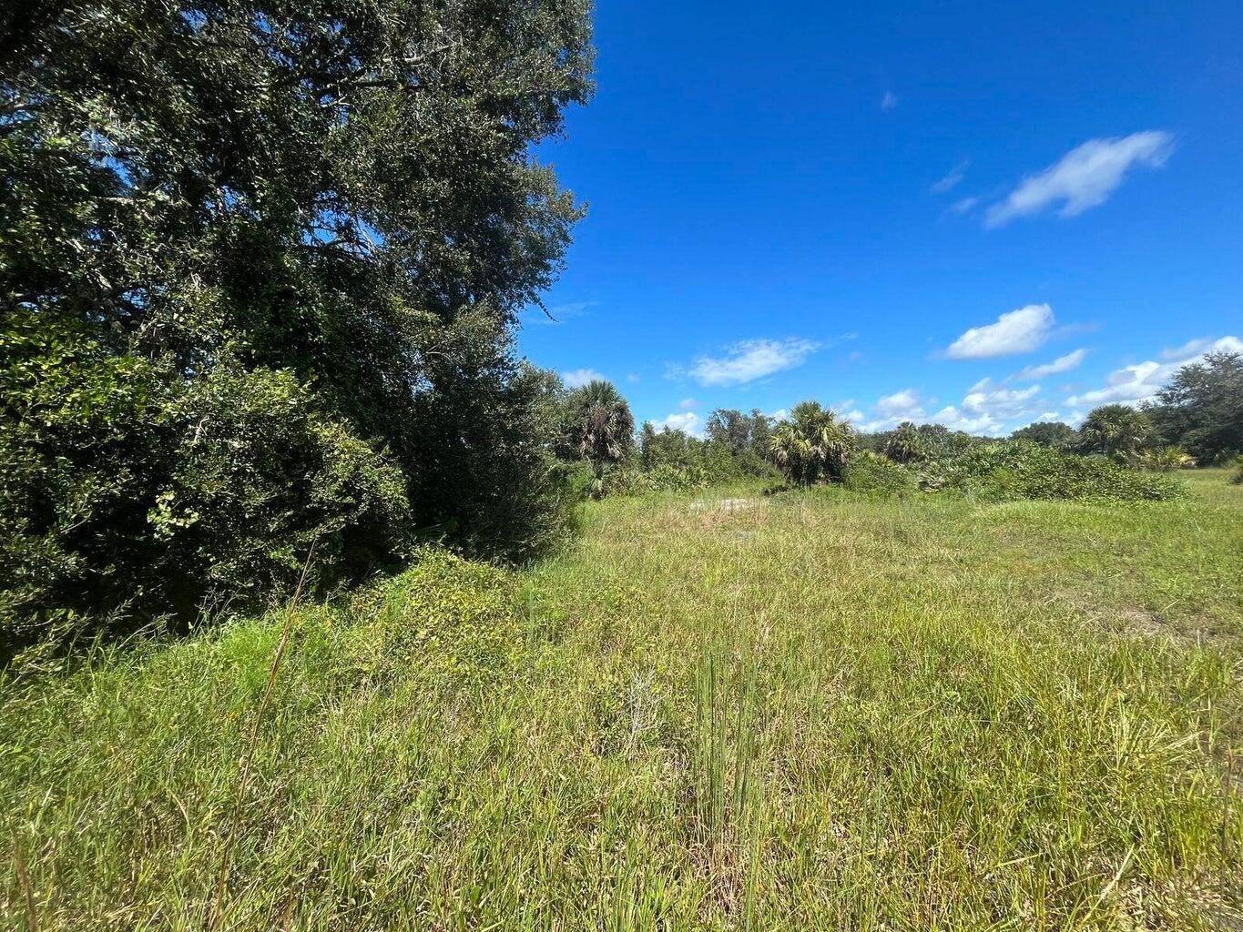 COME BUILD YOUR DREAM HOME ON LOTS OF LAND PLANT FRUIT TREES.