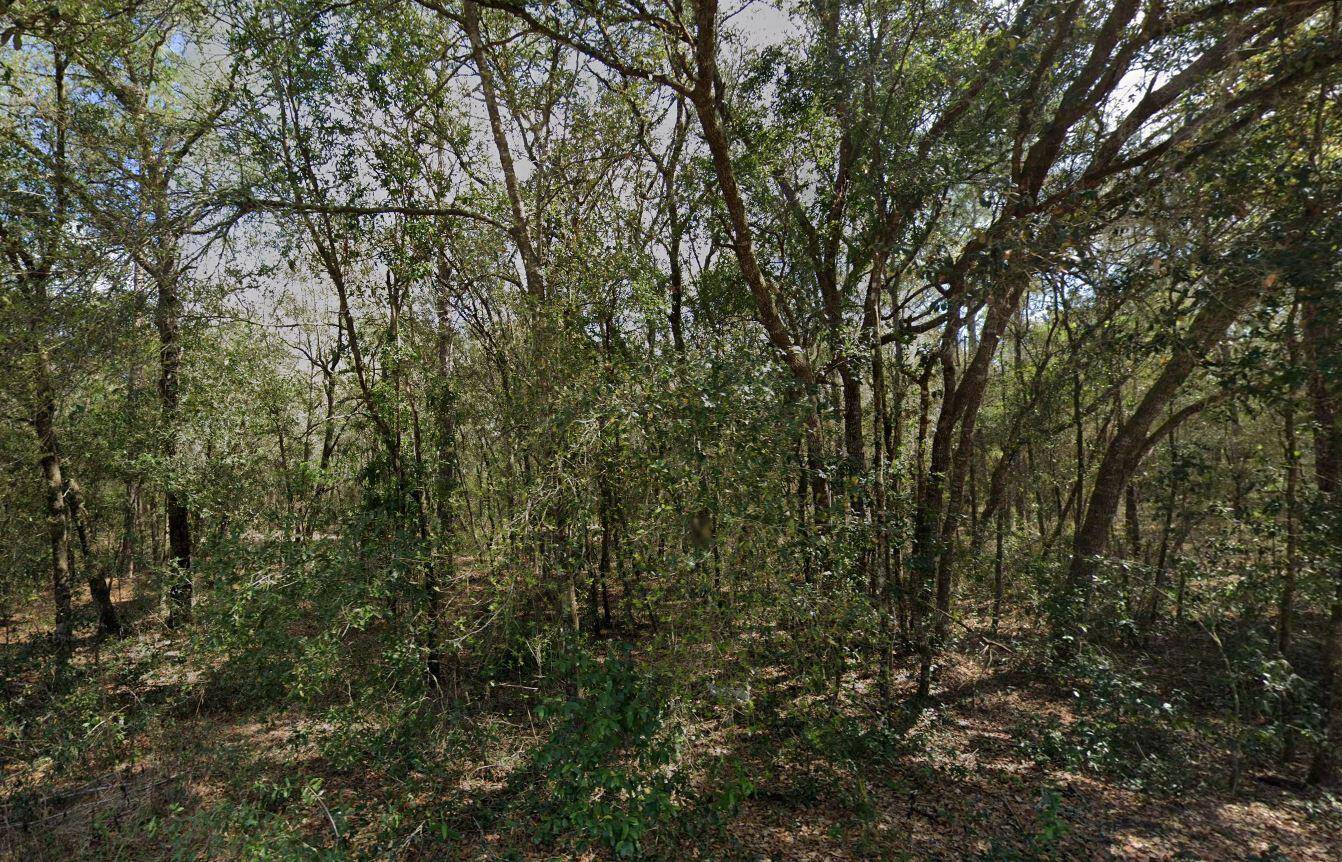 Affordable Florida Land Opportunity in Interlachen !