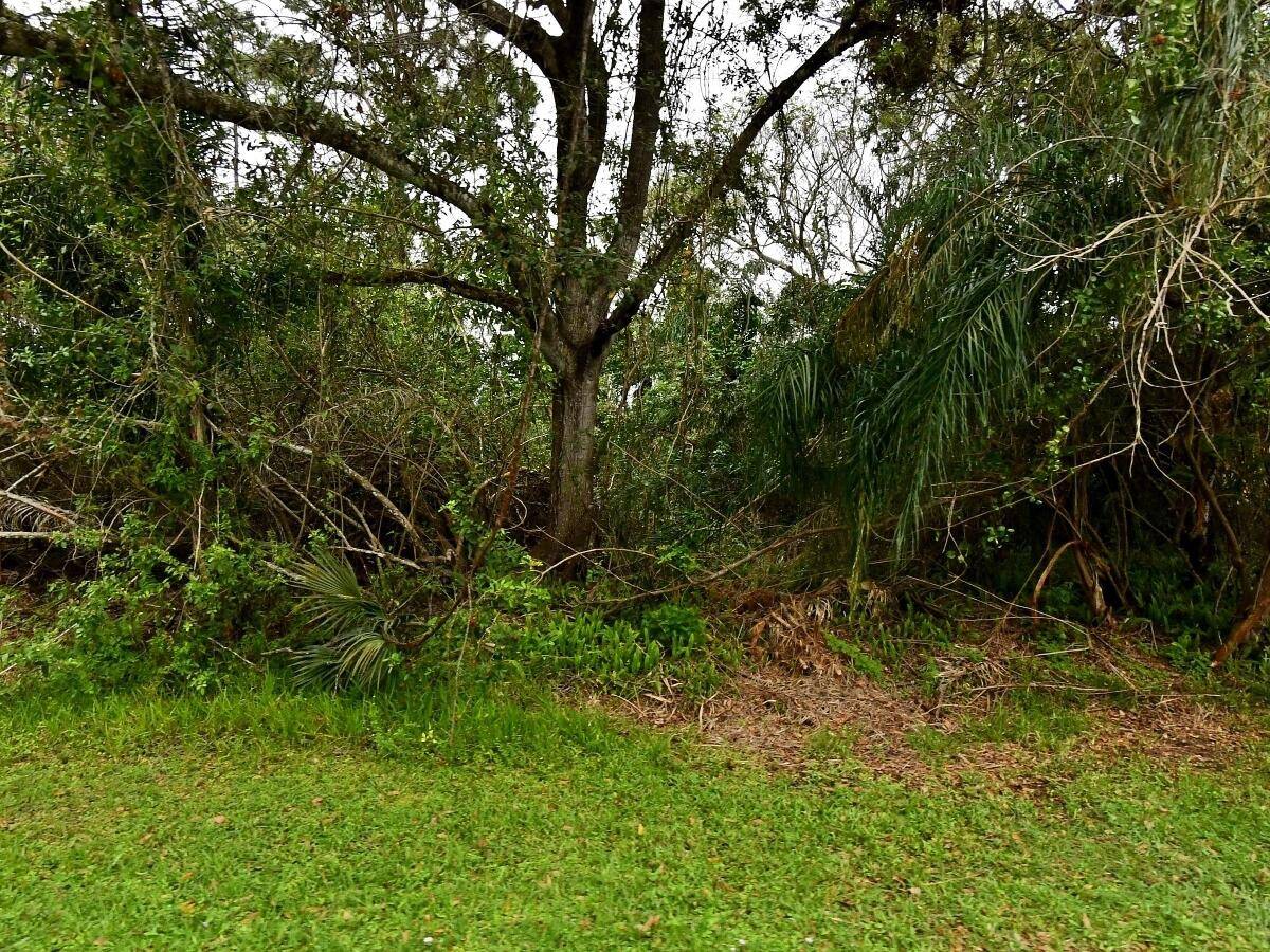 7804 Holopaw Avenue Land Palm Beach