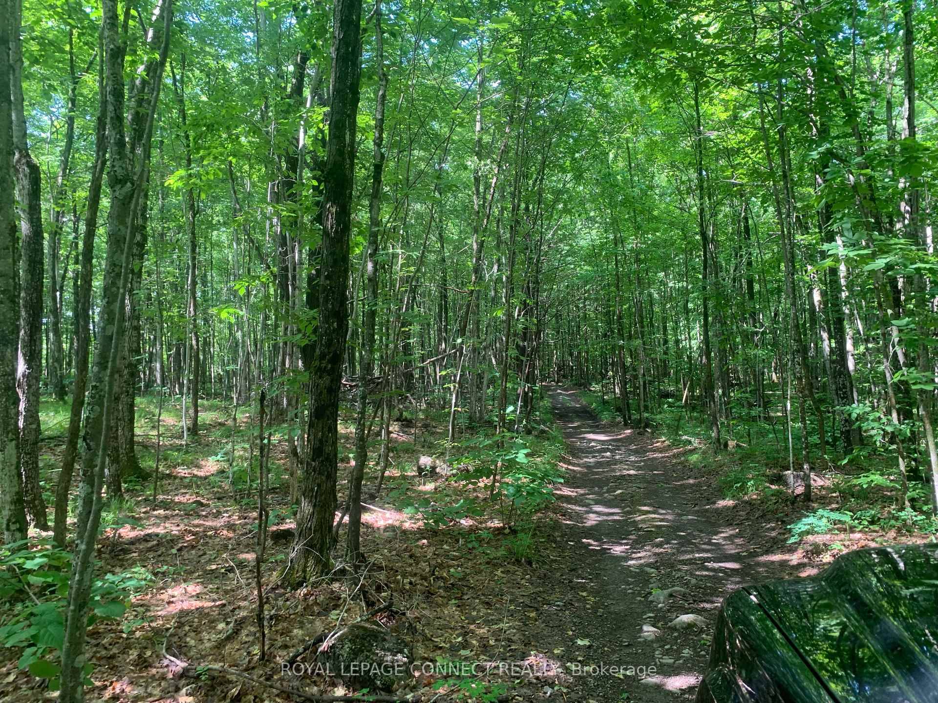 Discover your perfect retreat in Erinsville, Ontario !