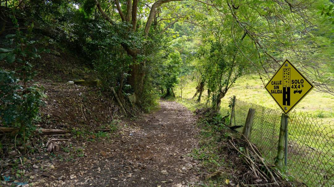 407 CUERDAS EN CAMUY. ¡HAZ REALIDAD TU PROYECTO ECOTURÍSTICO HOY! Land Camuy