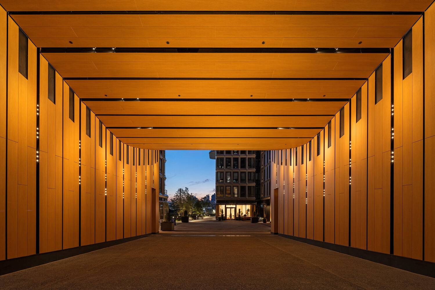 Radiant Resort Style Living on Brooklyn's East River Waterfront.