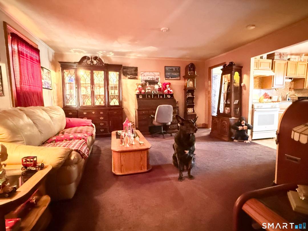 Solid three family in a convenient location on the back side of East Rock ideal for investors and owner occupants alike.