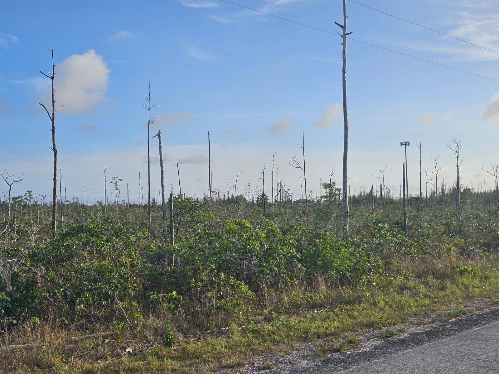 HEYBRIDGE DRIVE Land Grand-Bahama-Freeport